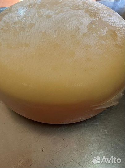 Пармезан / головка сыра