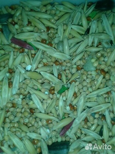 Корм для попугаев Со злаками)