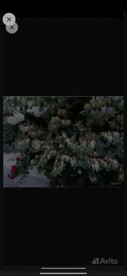 2-к. квартира, 28 м², 1/2 эт.