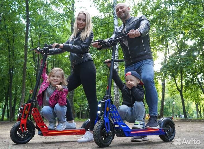 White Siberia Taiga 3.0 Blueberry