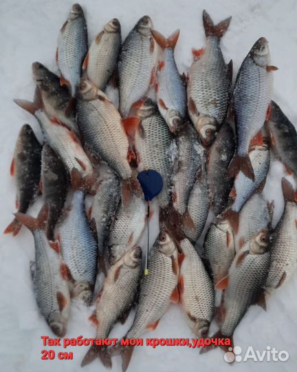 Подарочный набор рыбаку-безмотыльщику