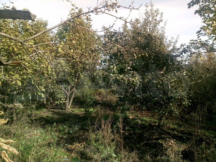 Дача 40 м² на участке 6 сот.