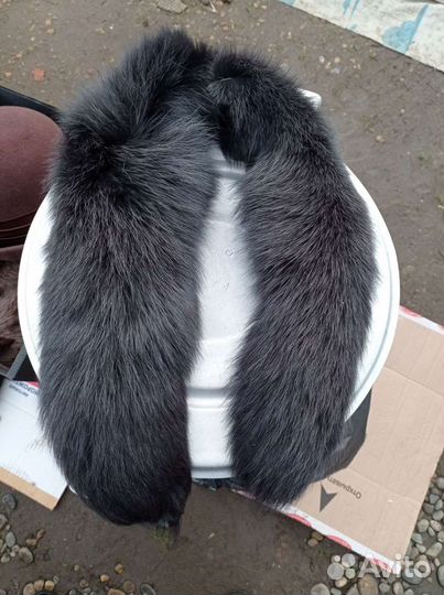 Хвосты писцовые