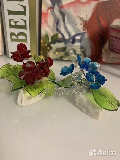 Декоративные цветы