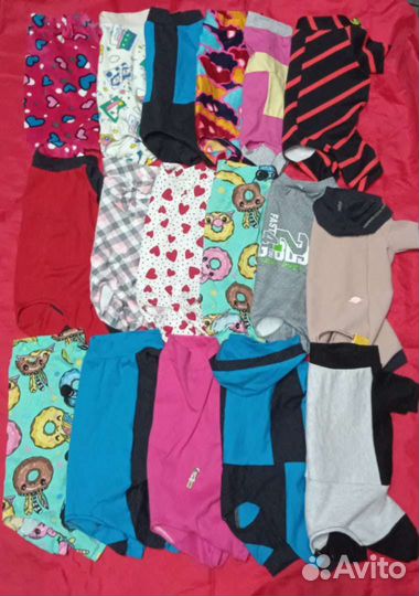 Одежда для животных