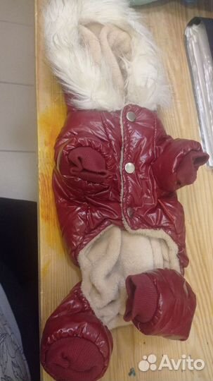 Зимняя куртка для собак