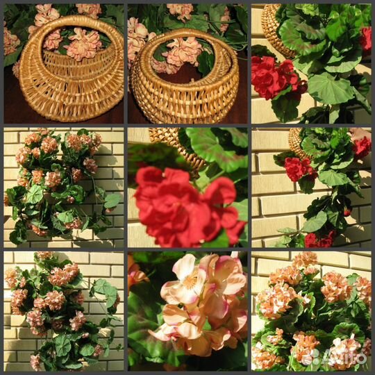 Цветы декор Герань