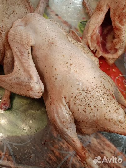 Гусиное мясо