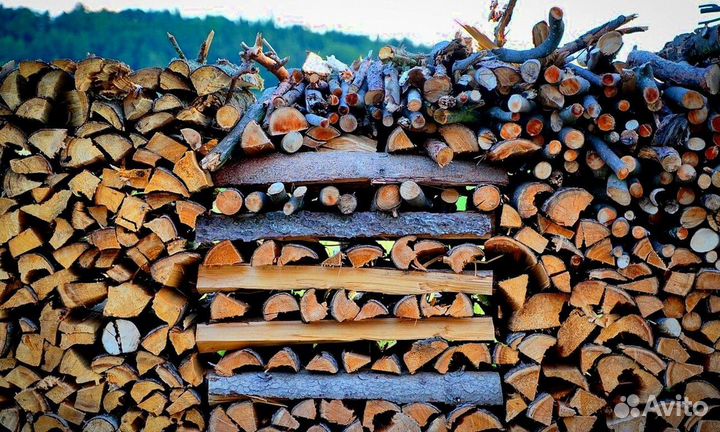 Дрова в баню