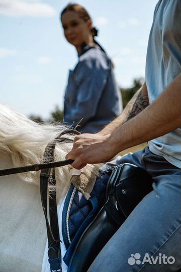 Конные прогулки на лошадях и пони