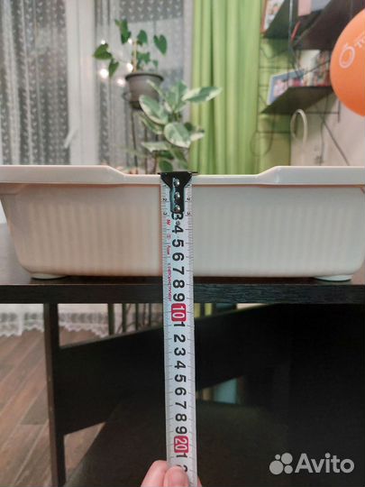 Лоток для кошек