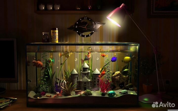 Проф. Обслуживание пресноводных аквариумов