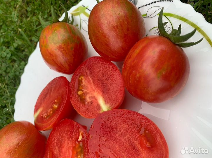 Семена томатов серии Гном