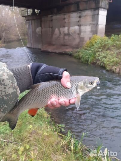 Силиконовая приманка 