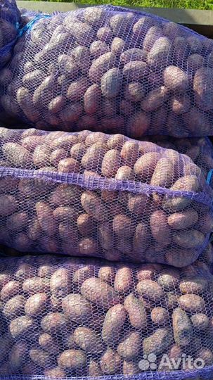 Продам картофель с доставкой