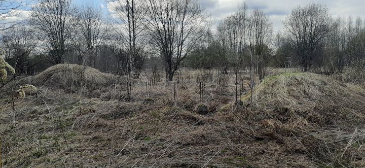 Участок 10 сот. (СНТ, ДНП)