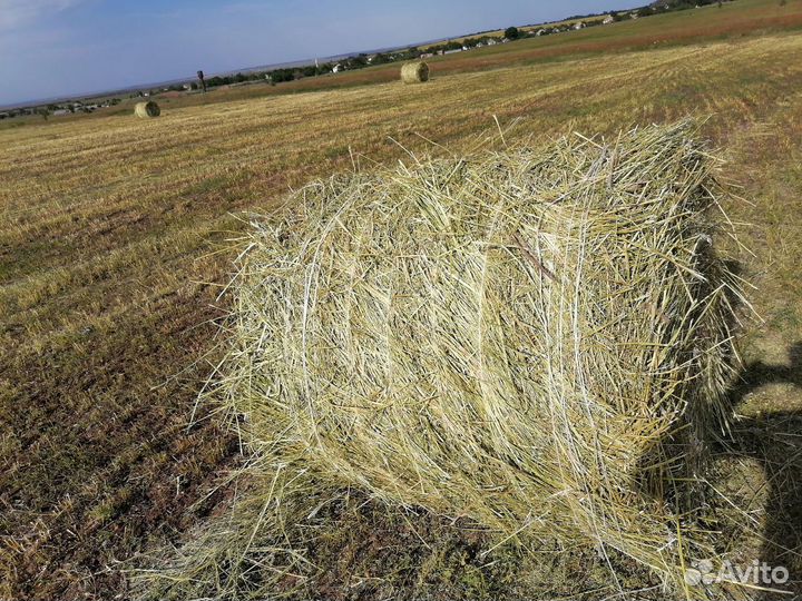 Сено луговое