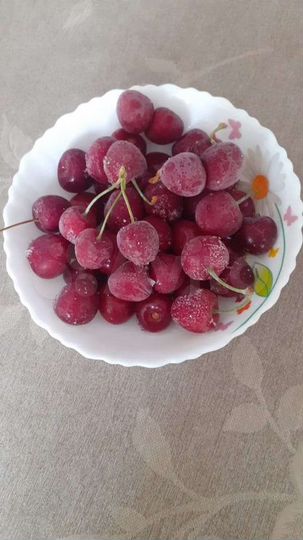 Участок 7,5 сот. (СНТ, ДНП)