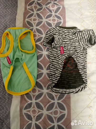 Одежда для кошек