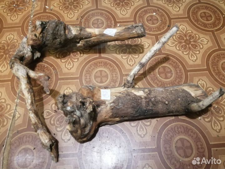 Коряги (много)