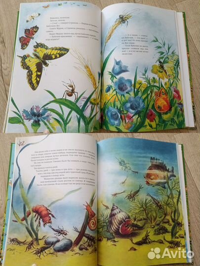 Бианки и Чарушин книги с рисунками