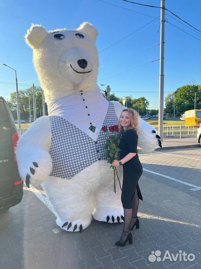 Белый Большой Мишка