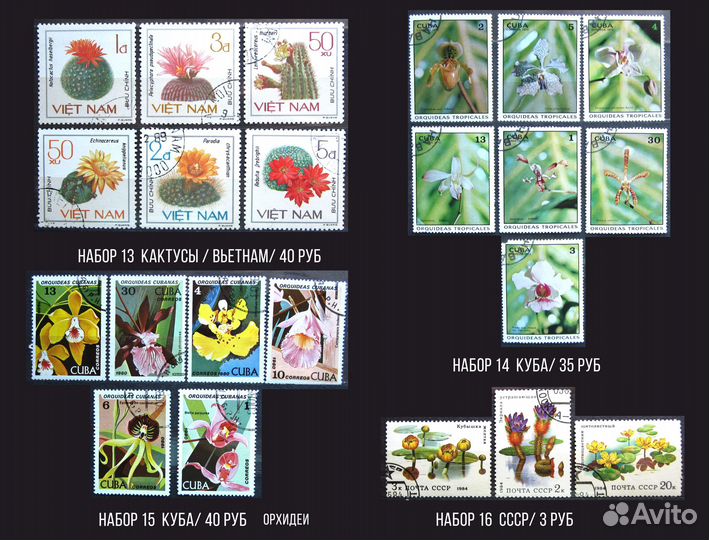 Марки на тему Флора, цветы, растения, кактусы