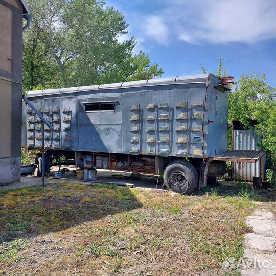 Пчелы, павильон