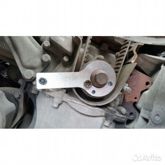 Набор фиксаторов грм opel 1.6/1.9/2.0 JTD/cdti