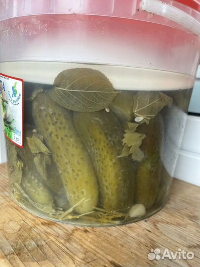 Огурцы соленые