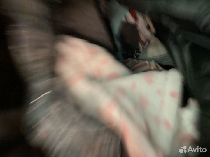 Женские вещи пакетом 44-46