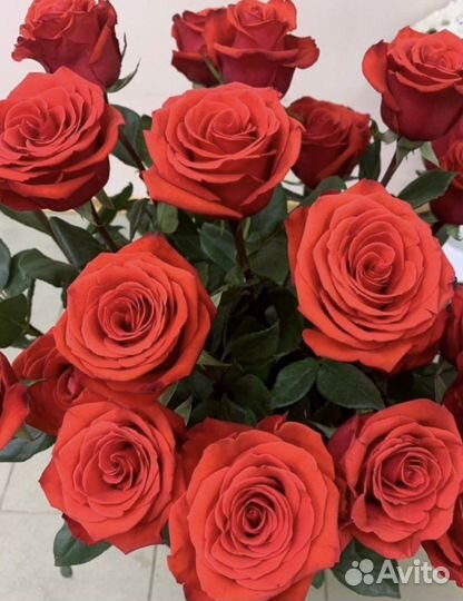 15 роз