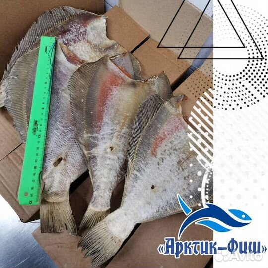Ерш вяленый. Камбала-ерш Мурманск