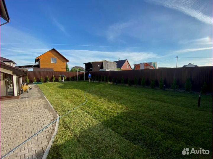 Рулонный газон, элитные травосмеси