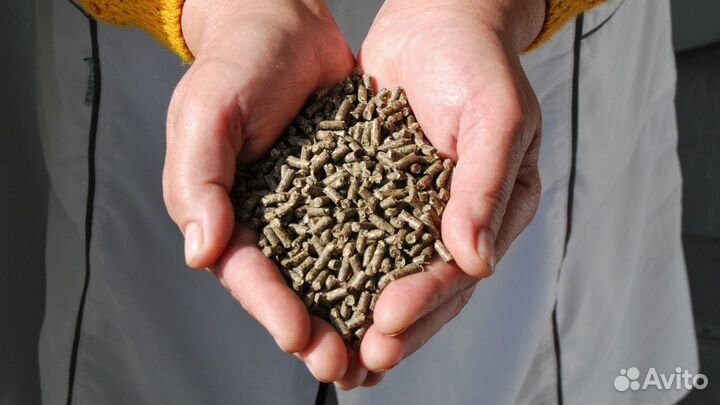Корм для животных и птиц опт