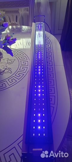 Аквариумный светильник