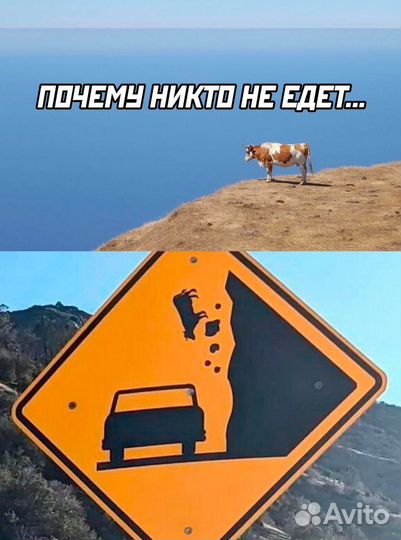 Продам мясо кролика