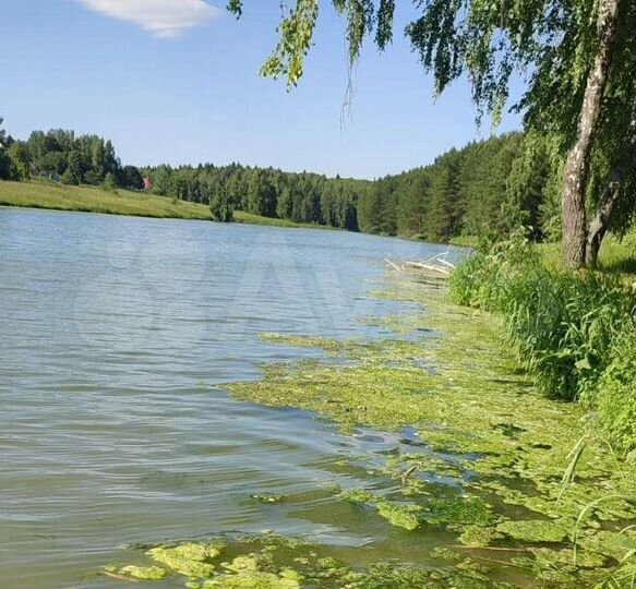 Участок 28,2 сот. (ИЖС)