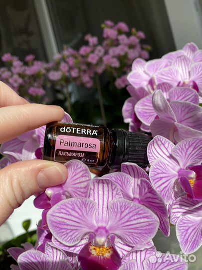 Эфирные масла doterra