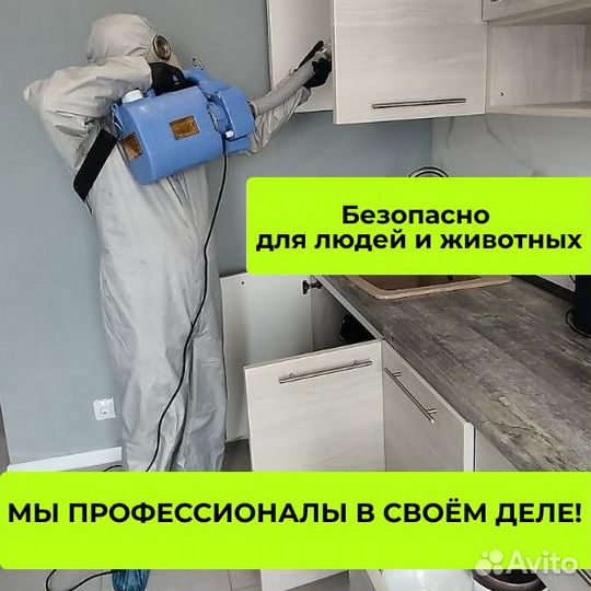 Дезинфекция