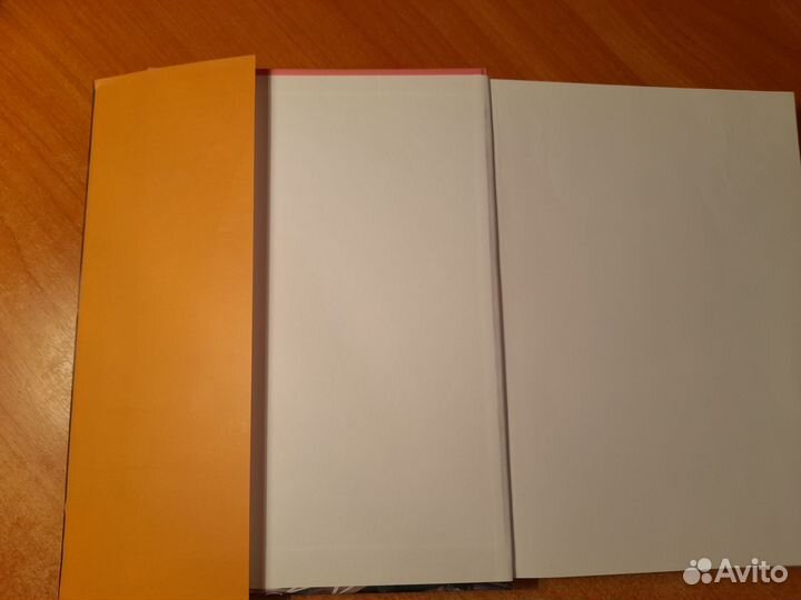 Александр Васильев 