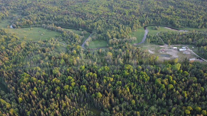 Участок 6,5 га (СНТ, ДНП)