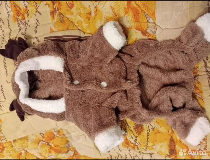 Костюмчик для собак и кошек