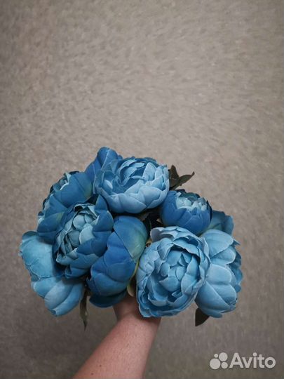 Искусственные пионы