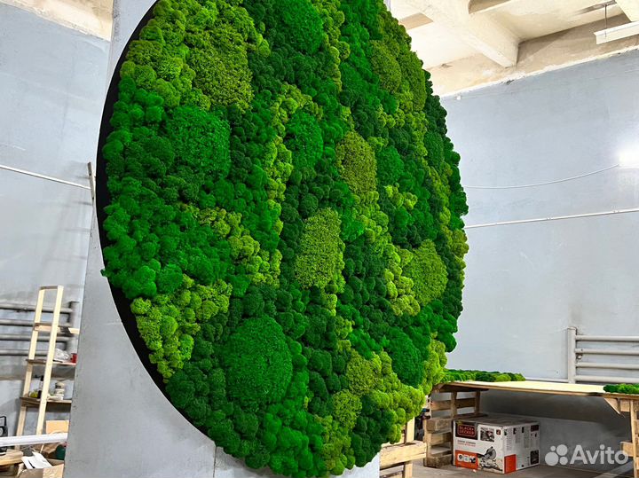 Круг панно из мха