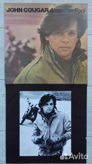 Fleetwood Mac, Bruce Springsteen, Paul McCartney