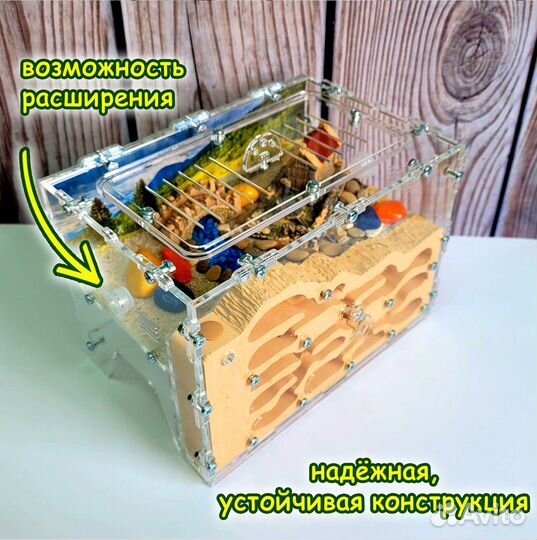 Муравьиная ферма Стандарт (Новые)