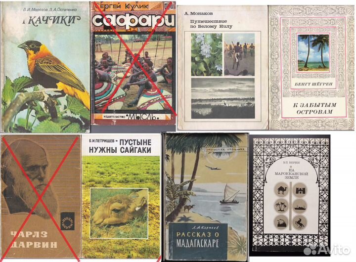 Книги природа животные насекомые география