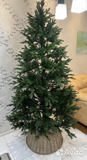 Царь елка Фаворит 220см