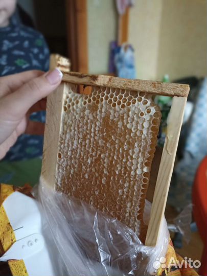 Мед Алтайский